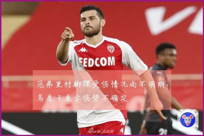 范弗里特脚踝受伤情况尚不明朗，乌度卡表示伤势不确定