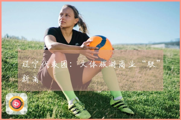 辽宁代表团：文体旅游商业“联”新高