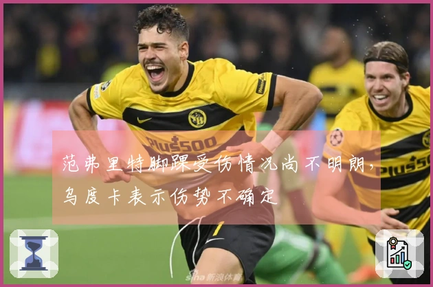 范弗里特脚踝受伤情况尚不明朗，乌度卡表示伤势不确定