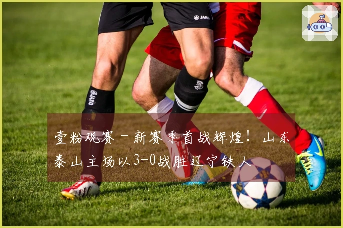 壹粉观赛 - 新赛季首战辉煌！山东泰山主场以3-0战胜辽宁铁人